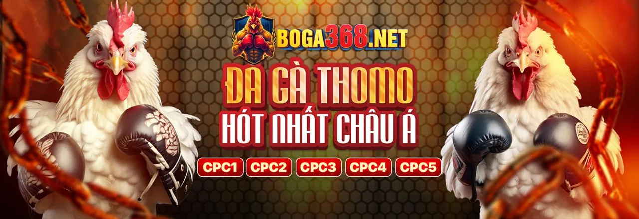 Giao diện tổng quan nền tảng casino trực tuyến vb79 win