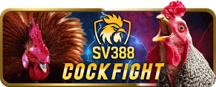 Chiến lược cá cược đá gà vb79 win
